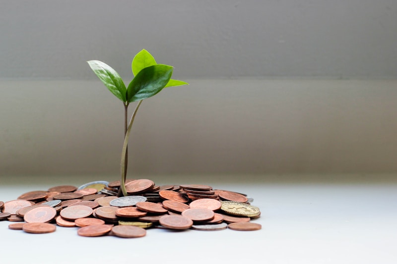Épargne et investissement personnel